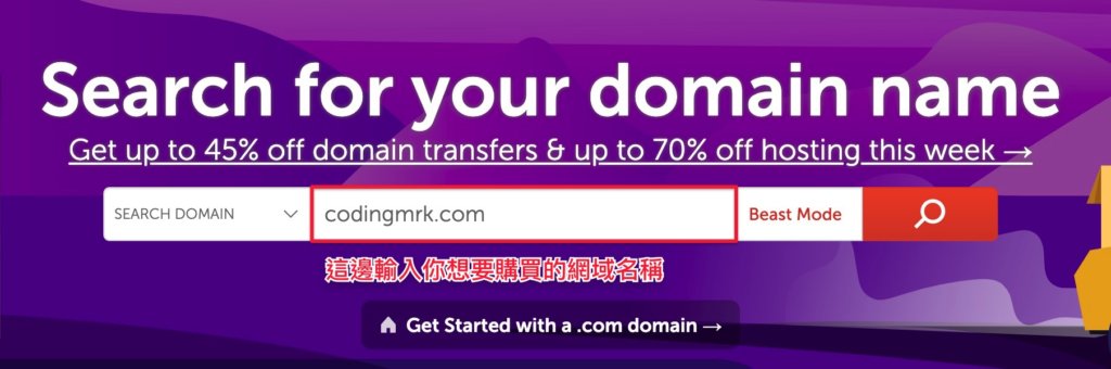 搜尋網域名稱