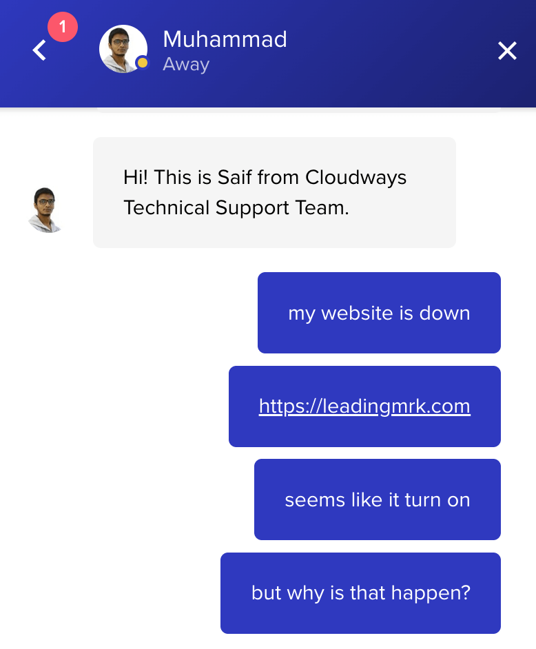 【Cloudways 教學】為什麼會 CPU 100% 當機?頁面編輯器 Elementor 開太多視窗,客服釐清全紀錄 2