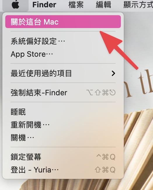 選擇「關於這台 Mac 」