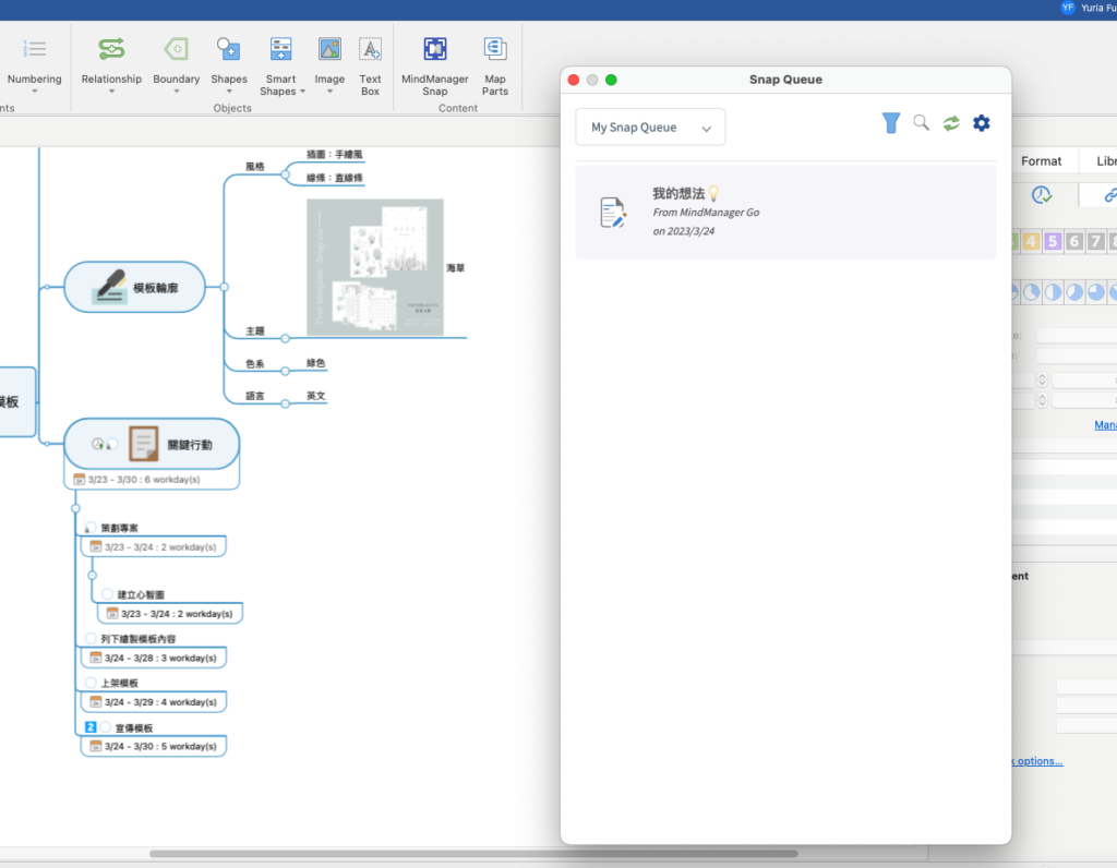 MindManager Snap