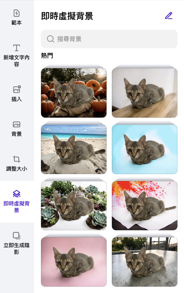 即時虛擬背景