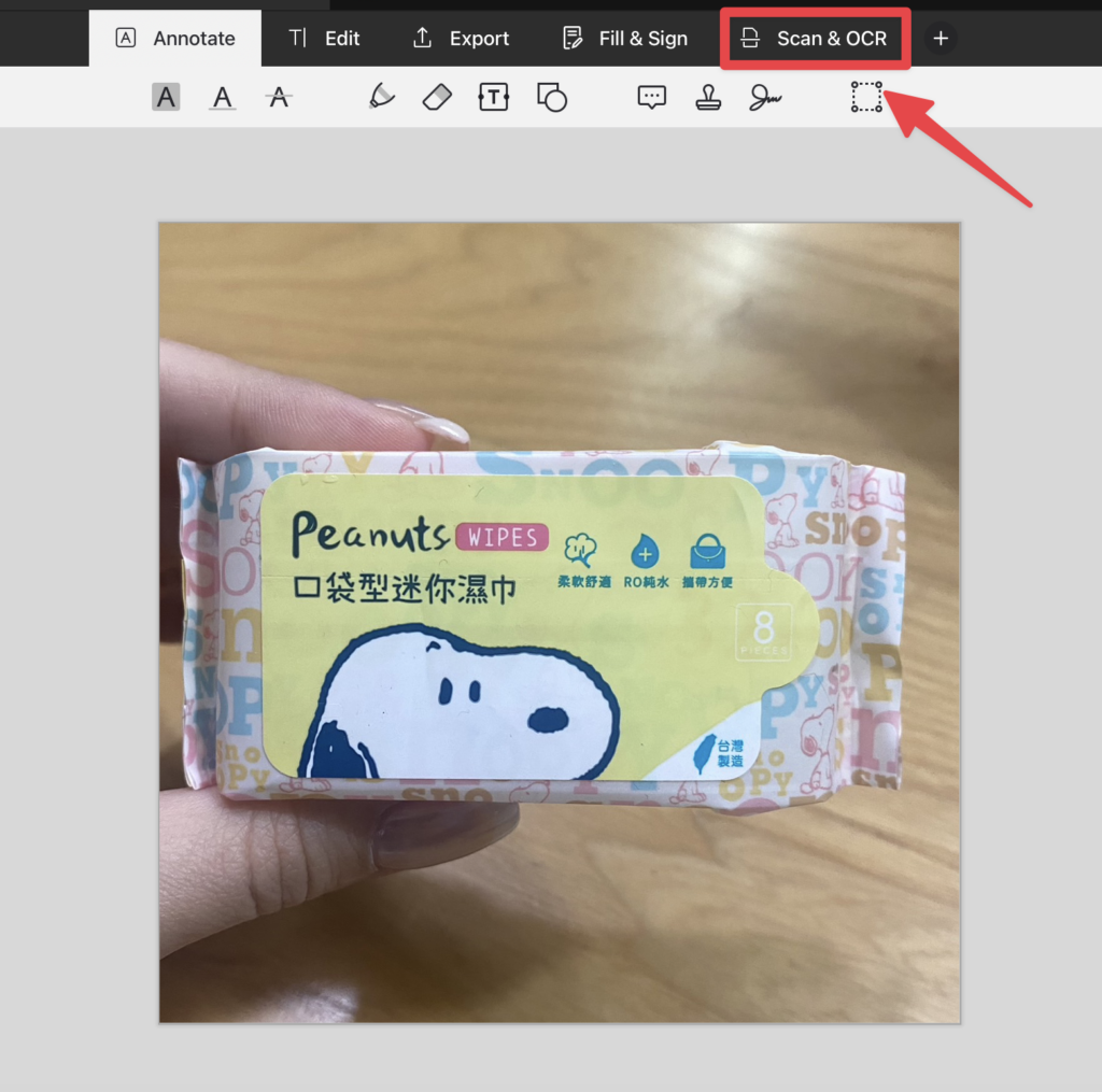 匯入圖片後,點擊上方的「Scan & OCR」